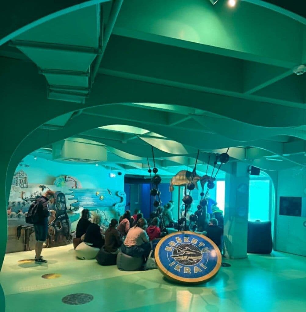 2-1-1003x1024.jpg