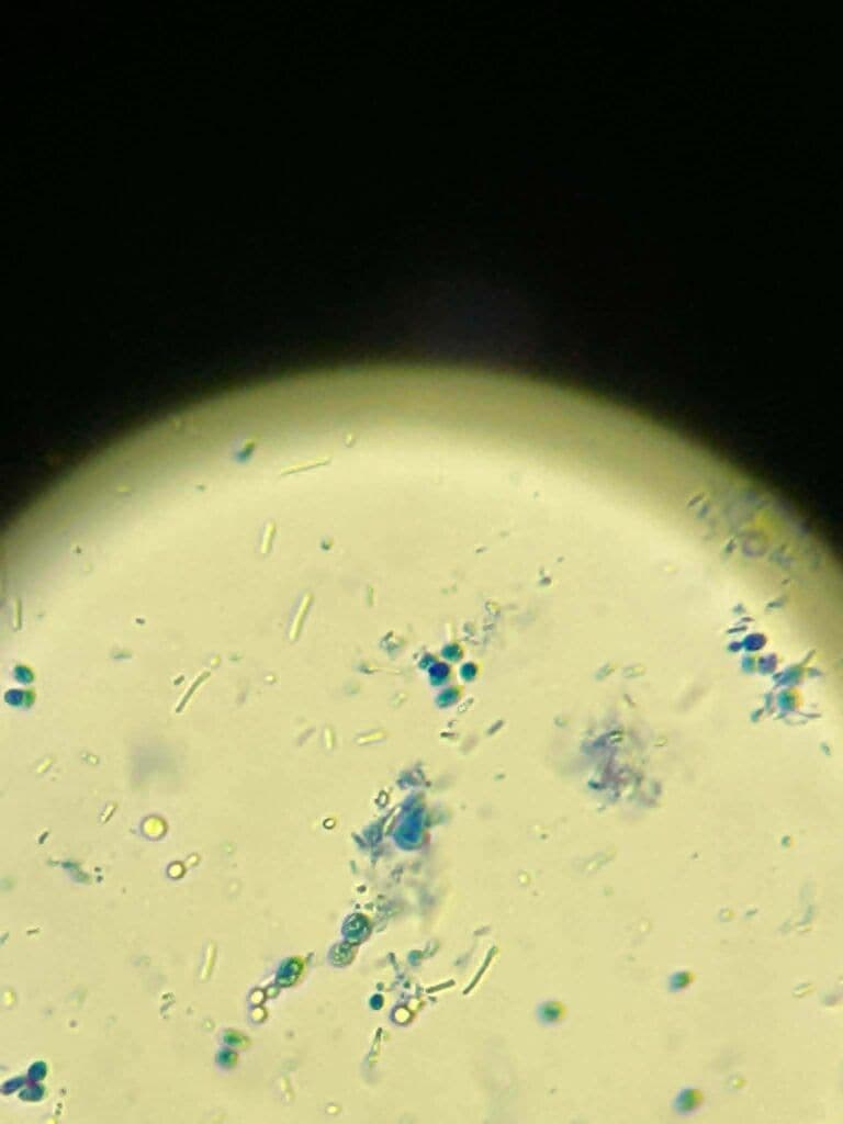 SUgU2Huc-768x1024.jpg